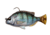Savage Gear Pulse Tail Pinfish RTF 4in Pinfish, 3240