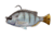 Savage Gear Pulse Tail Pinfish RTF 4in White Pinfish, 3243