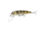 Savage Gear Sucker Flanker Crankbait