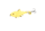 Savage Gear SD Smash Tail Topwater Hard Bait