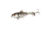Savage Gear SD Smash Tail Topwater Hard Bait