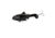 Savage Gear SD Smash Tail Topwater Hard Bait