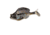Savage Gear Structure Gill Soft Bait