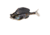 Savage Gear Structure Gill Soft Bait