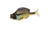 Savage Gear Structure Gill Soft Bait