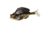 Savage Gear Structure Gill Soft Bait