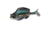 Savage Gear Structure Gill Soft Bait