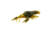Savage Gear Toughtec NED Craw Soft Bait