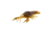 Savage Gear Toughtec NED Craw Soft Bait
