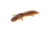 Savage Gear Toughtec NED Salamander Soft Bait