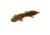 Savage Gear Toughtec NED Salamander Soft Bait
