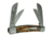 Schrade Imperial Amber Congress - IMP15CON