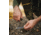 Schrade Schrade Switch-It Hunting Kit, Steel, Non Slip Handle, 1160966