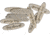 Schrade Teddy Roosevelt Shield, Oval Design, Antique Nickel Silver Finish, 3/4in Overall, Embossed Teddy Roosevelt, Package Of 10, S438