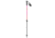 SCOTT Element Adj Poles - Junior, High Viz Pink, 34in-44in, 2918906634285