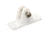 Sea-Dog Nylon Angled Deck Hinge - White 78898