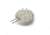 Sea-Dog Sea Dog LED Replacement Bulb G4, Pack of 5, 442944-1