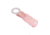 Sea-Dog Sea Dog Nylon Ring Terminal 22 18 Ga Ring Size #8, Pack of 6, 429213H-1