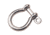 Sea-Dog Sea Dog Stainless Steel Bow Shackle 1/4in, 147056-1
