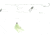 Sea Striker FT-W Fluke Tamer Rig 50 Lb Mono Leader, 1/0 Wide Gap Hooks, 1 w/Bucktail, White, FT-W