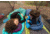 Sea to Summit Comfort Light Insulated Sleeping Mat - Women's, Regular, 992
