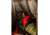 Sea to Summit Reactor Extreme Long Thermolite Liner, Red, Long, 123