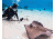 Sealife Aquapod Underwater Monopod, Black SL913