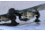 SeaSucker Ski Rack, Black, 32W x 9.5H x 6D, 810046210161
