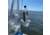SeaSucker Vertical 1-Cup Holder, White, MC5314W