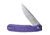 Sencut Knife Scitus 3.47'' Purple G10/gray Stonewash D2