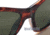 Tortoise Frame