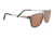 Serengeti Empoli Single Vision Prescription Sunglasses, Shiny Dark Tortoise Frame-7761SV