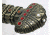 Shadow Cutlery Vikings - Sword of Kings - Limited Edition, Silver/Gold, 3.5LB SH8005LE