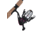 Shakespeare Ladyfish Spinning Combo, 5.5/1, Right/Left, 30, 6ft. Rod Length, Medium Power, 2 Pieces Rod, Pink, LADYSP60M30