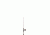 Shakespeare Ugly Stik GX2 Spinning Rod and Reel Combo - 5ft 125657