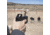 Shield Sights Armoured Hood