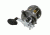 Shimano Tekota 800 Saltwater Casting Reel 257998