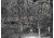 Shinenyx G1A/384 1x5.45-16.5mm Thermal Imaging Monocular, Black, G1A