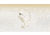 Shokz Two Headphone, Beige, Standard, T920-ST-BG-US