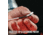 Shooters Choice Rifle Cleaning Kit