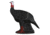Shooter Turkey Target, Black, G71320