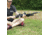 Shooters Ridge Rock Mount Pivot Bi-Pod, 6-9 Inches - 40855