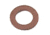 Sierra International 18-2568 Strainer Cover Screw Gasket, 18-2568