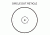 Circle Dot Reticle