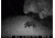 Sightmark Photon XT 6.5x50S Digital Night Vision Rifle Scope SM18009