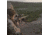 Sightmark Pinnacle 5-30x50 TMD Rifle Scope SM13029TMD