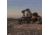 Sightmark Pinnacle 5-30x50 TMD Rifle Scope SM13029TMD