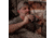 SightMark Solitude XD 10x42mm BaK4 Roof Binocular