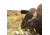 SightMark Solitude 20-60x80SE Spotting Scope Kit SM11032K
