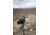 SightMark Solitude 20-60x80SE Spotting Scope Kit SM11032K